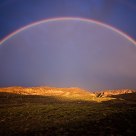 Arc Of Color.